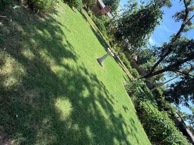 Lawn Care service in Oroville, 95965