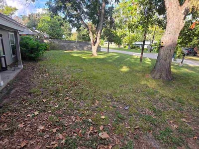 Leaf Removal service in Brandon, 33511