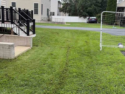 Lawn Care service in Severn, 21144