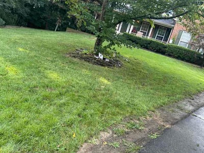Lawn Care service in Havre De Grace, 21078