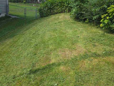 Lawn Care service in Pasco, 99301