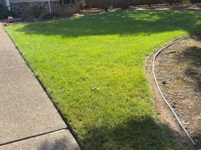 Lawn Care service in Chico, 95928