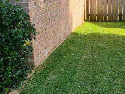 Lawn Care service in ,