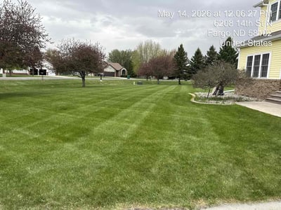 Lawn Care service in ,