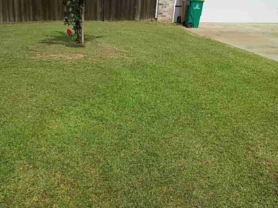 Lawn Care service in Pascagoula, 39567