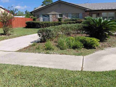 Lawn Care service in Paradise, 95969