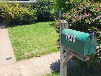 Lawn Care service in Terrell, 75160