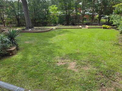 Lawn Care service in Brownsville, 78520