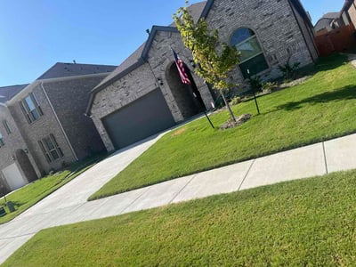Lawn Care service in Terrell, 75160