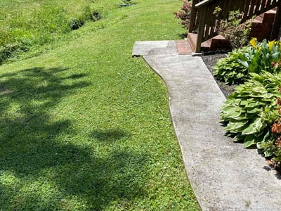 Lawn Care service in Richland, 99352