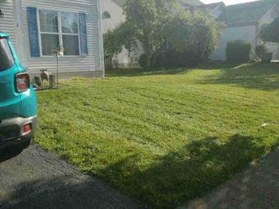 Lawn Care service in Delaware, 43015