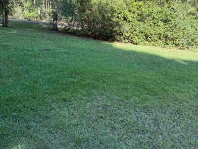 Lawn Care service in Moss Point, 39563