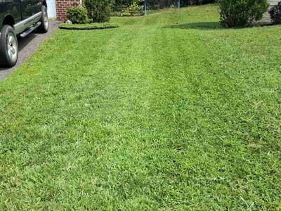 Lawn Care service in White Marsh, 21236