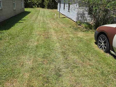 Lawn Care service in Moss Point, 39563