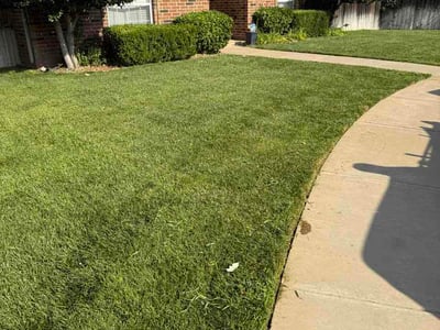 Lawn Care service in Amarillo, 79107