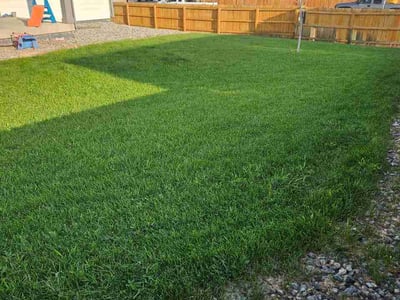 Lawn Care service in Greeley, 80631