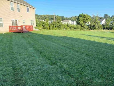 Lawn Care service in Middletown, 17057