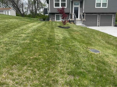Lawn Care service in Port Orchard, 98366
