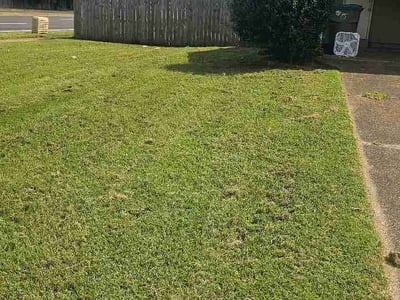 Lawn Care service in Johnson City, 37604