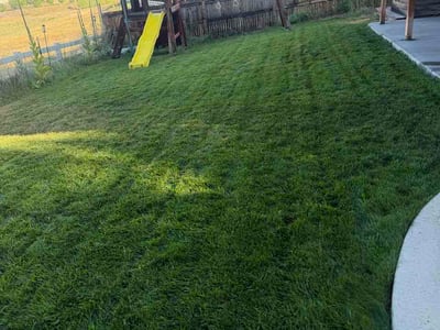 Lawn Care service in Lafayette, 80026