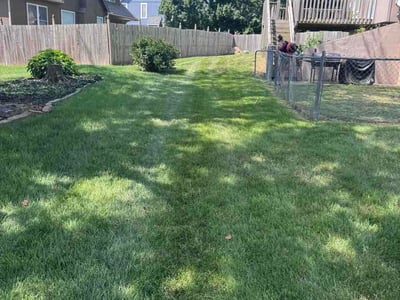 Lawn Care service in Longmont, 80501