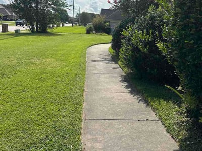 Lawn Care service in Orange, 77630