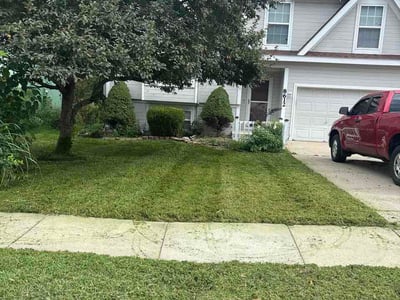 Lawn Care service in Longmont, 80501