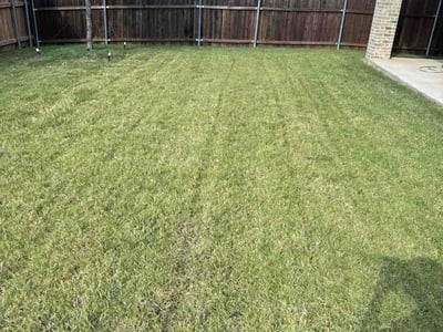 Lawn Care service in Mansfield, 76063