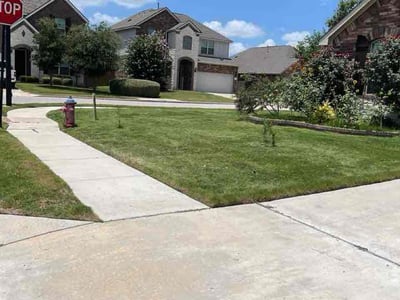 Lawn Care service in Wells Branch, 78728