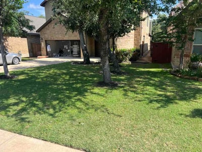 Lawn Care service in Wells Branch, 78728