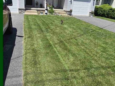 Lawn Care service in Westminster, 21157
