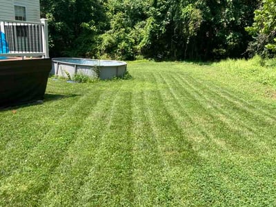 Lawn Care service in Beltsville, 20705