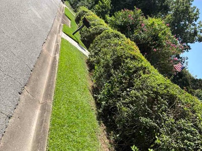 Lawn Care service in Orange Beach, 36561