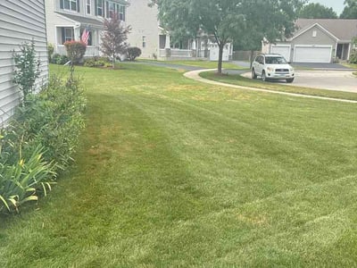 Lawn Care service in Geneva, 60134