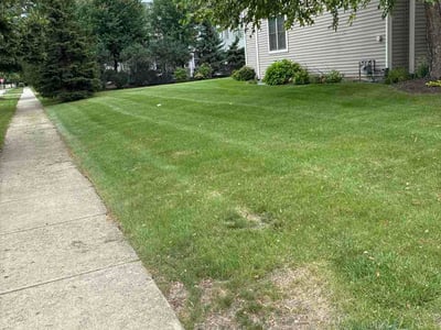 Lawn Care service in Geneva, 60134
