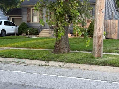 Lawn Care service in Crown Point, 46307
