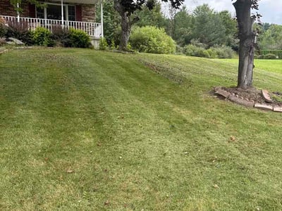 Lawn Care service in Endicott, 13760