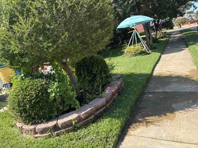 Lawn Care service in Rowlett, 75088
