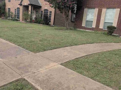Lawn Care service in Rowlett, 75088