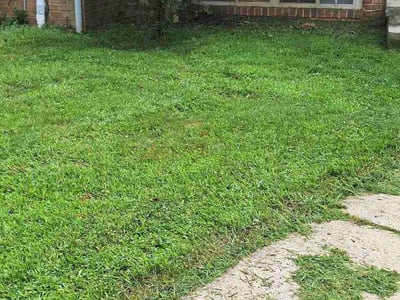 Lawn Care service in Reisterstown, 21136