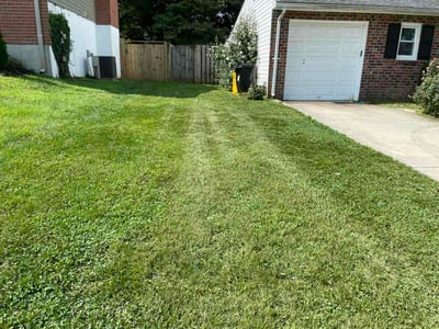 Lawn Care service in Reisterstown, 21136