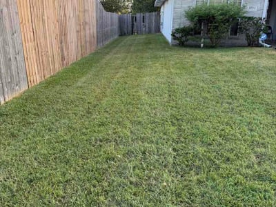 Lawn Care service in College Station, 77840