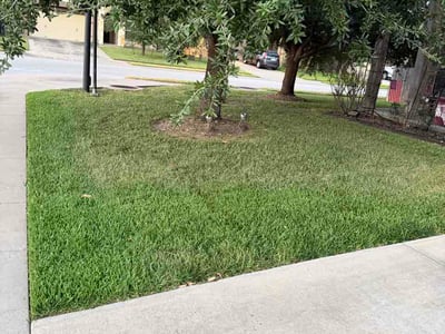 Lawn Care service in College Station, 77840