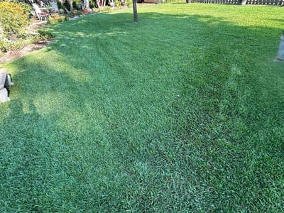 Lawn Care service in Sunnyvale, 75182