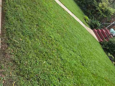 Lawn Care service in Laurel, 20707