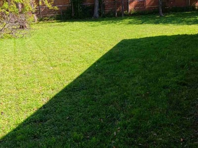 Lawn Care service in Manor, 78653