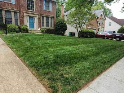 Lawn Care service in District Heights, 20747