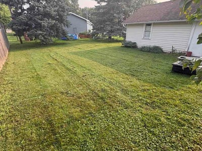 Lawn Care service in Kaukauna, 54130
