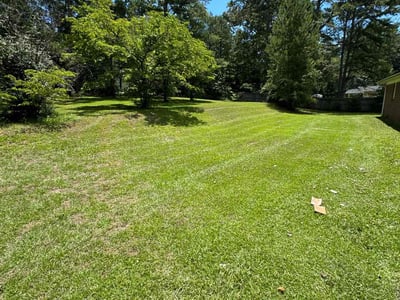Lawn Care service in Selma, 93662