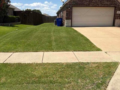 Lawn Care service in Coppell, 75019